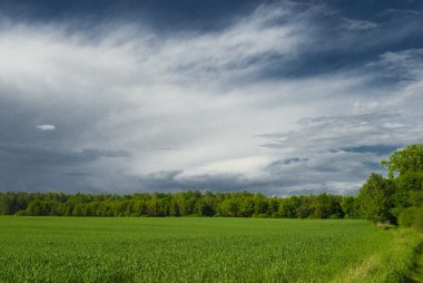 manzara whit mavi gökyüzü ve green hill Polonya