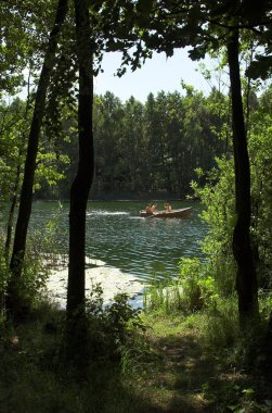 Güzel bir nehir ve orman manzarası 