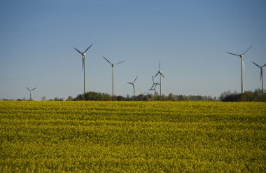 tecavüz ve mavi gökyüzü manzara sarı