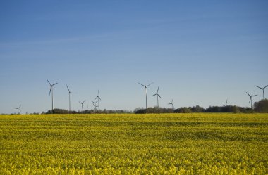 tecavüz ve mavi gökyüzü manzara sarı