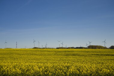 tecavüz ve mavi gökyüzü manzara sarı