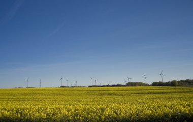 tecavüz ve mavi gökyüzü manzara sarı