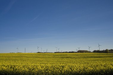 tecavüz ve mavi gökyüzü manzara sarı