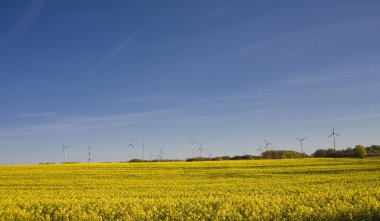 tecavüz ve mavi gökyüzü manzara sarı