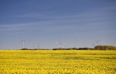 tecavüz ve mavi gökyüzü manzara sarı