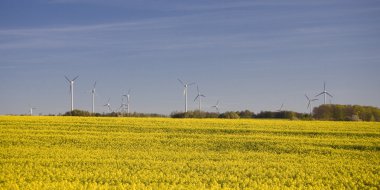 tecavüz ve mavi gökyüzü manzara sarı