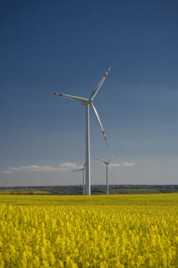 tecavüz ve mavi gökyüzü manzara sarı