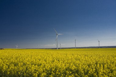 tecavüz ve mavi gökyüzü manzara sarı
