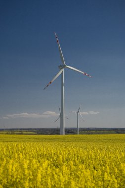 tecavüz ve mavi gökyüzü manzara sarı