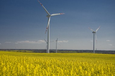 tecavüz ve mavi gökyüzü manzara sarı