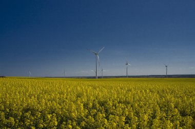 tecavüz ve mavi gökyüzü manzara sarı