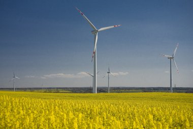 tecavüz ve mavi gökyüzü manzara sarı