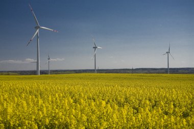 tecavüz ve mavi gökyüzü manzara sarı