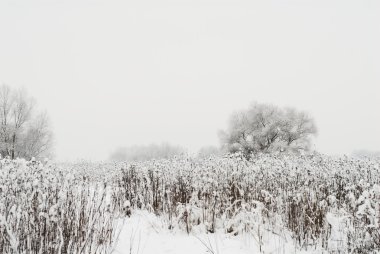 doğal kış kar Manzaralı