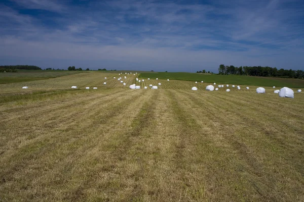 manzara whit mavi gökyüzü ve green hill Polonya