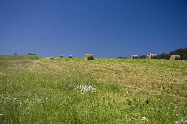 manzara whit mavi gökyüzü ve green hill Polonya