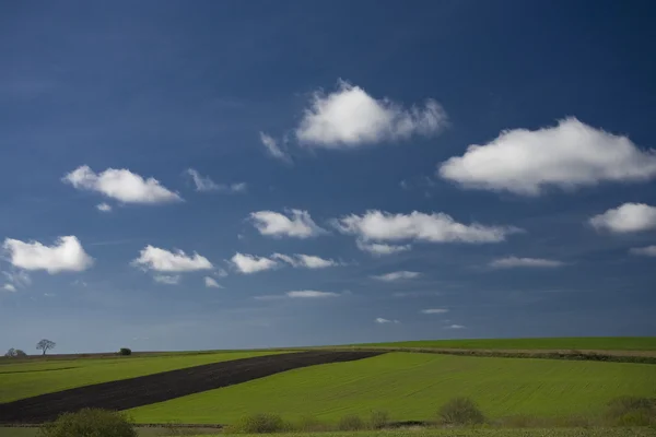 Landschaft Mit Blauem Himmel Und Grünen Hügeln Polen — Stockfoto