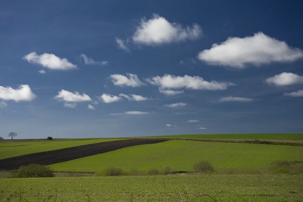 Landschaft Mit Blauem Himmel Und Grünen Hügeln Polen — Stockfoto