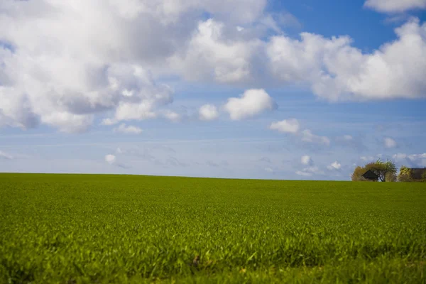 Landschaft Mit Blauem Himmel Und Grünen Hügeln Polen — Stockfoto