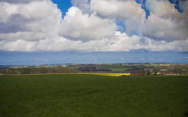 Paysage Ciel Bleu Colline Verte Pologne — Photo