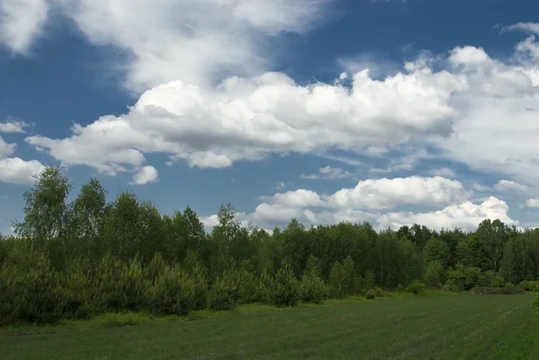 Ландшафт Голубым Небом Зеленым Холмом Польше — стоковое фото