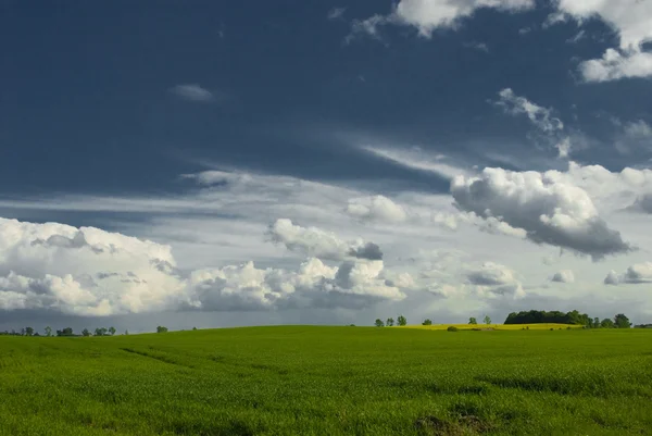 Paysage Ciel Bleu Colline Verte Pologne — Photo