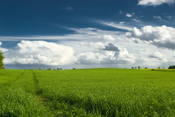 Landschaft Mit Blauem Himmel Und Grünen Hügeln Polen — Stockfoto