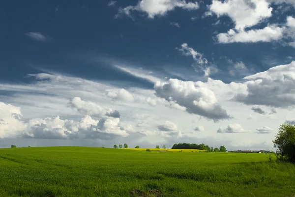 Paisaje Con Cielo Azul Colina Verde Polonia — Foto de Stock