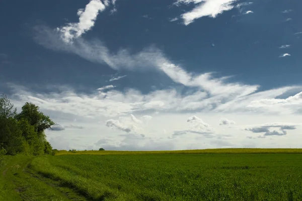 Paisaje Con Cielo Azul Colina Verde Polonia — Foto de Stock