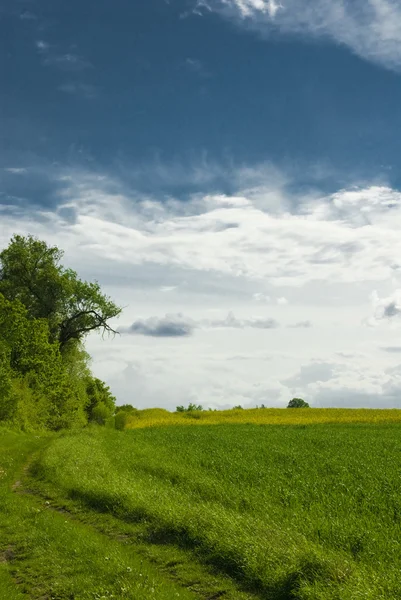 Landschaft Mit Blauem Himmel Und Grünen Hügeln Polen — Stockfoto