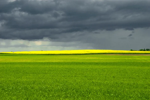 Ландшафт Голубым Небом Зеленым Желтым Холмом Польше — стоковое фото