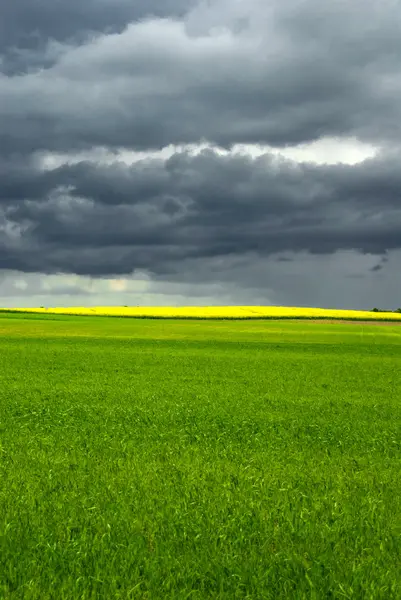 Landschaft Mit Blauem Himmel Und Grün Gelbem Hügel Polen — Stockfoto