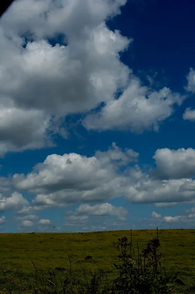 Vista Panorámica Del Campo Hierba Verde Bajo Cielo Azul Nublado — Foto de Stock