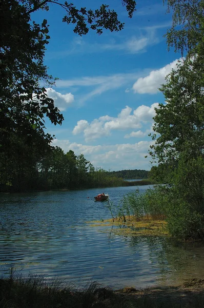 Belle Vue Sur Rivière Forêt — Photo