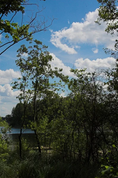 Blau Wolke Grün See Ruhe Himmel Sommer Wasser Weiß — Stockfoto