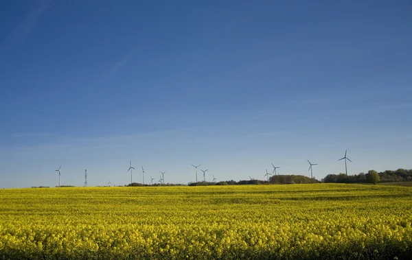 tecavüz ve mavi gökyüzü manzara sarı