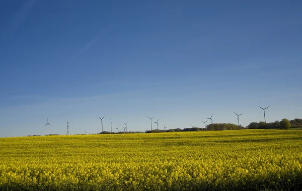 tecavüz ve mavi gökyüzü manzara sarı