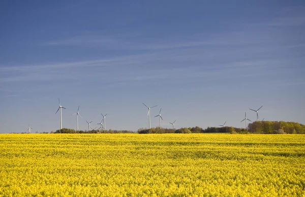 tecavüz ve mavi gökyüzü manzara sarı