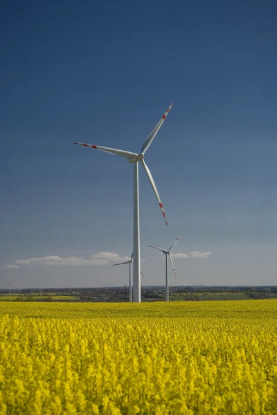 tecavüz ve mavi gökyüzü manzara sarı