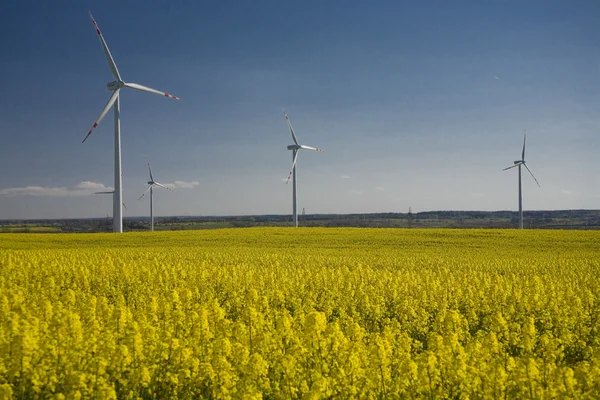 tecavüz ve mavi gökyüzü manzara sarı