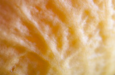 Gül yakın çekim, bazı bölümleri bulanık ve diğerleri keskin