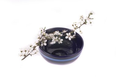 koyu mavi Çin kase beyaz elma çiçek