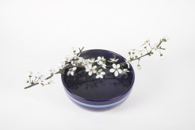 koyu mavi Çin kase beyaz elma çiçek