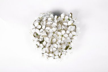 Beyaz arka plan üzerinde kalp kase elma çiçek