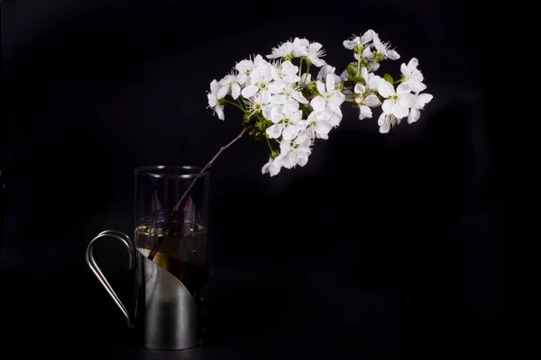 Bianco Primavera Mela Fiore Sfondo Nero — Foto Stock