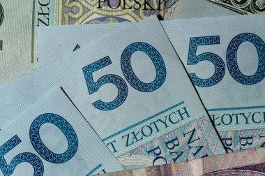 lehçe para zloty nakit yakın çekim görünümü