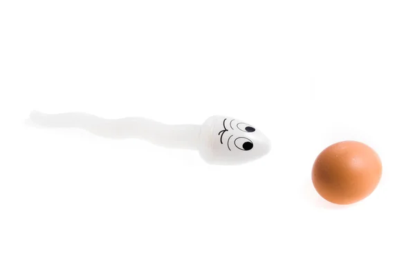 Spermie Flyttar Till Ägg Konceptuell Vit Bakgrund — Stockfoto