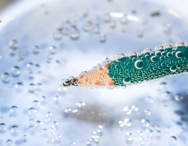 水に白い背景の上の緑の鉛筆 — ストック写真