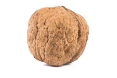 Beyaz arka plan karşı mükemmel ceviz