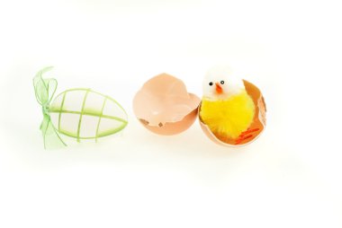 yumurta, yumurta, tavuk, sarı, yeşil, Paskalya, bebek tavuk, iki yeni hayat, yumurtadan kırık